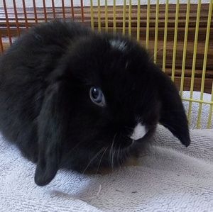 Meet your Posher, Reese